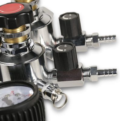 110V/220V Dual Stage Beer CO2 keg Regulator met veiligheidsdrukklep en prestaties