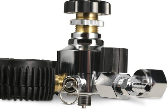 110V/220V Dual Stage Beer CO2 keg Regulator met veiligheidsdrukklep en prestaties